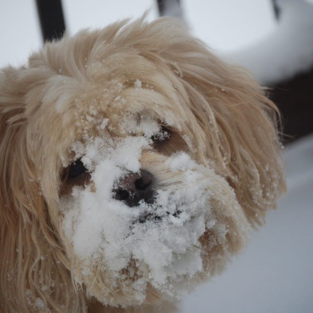 Its Cold Out There!