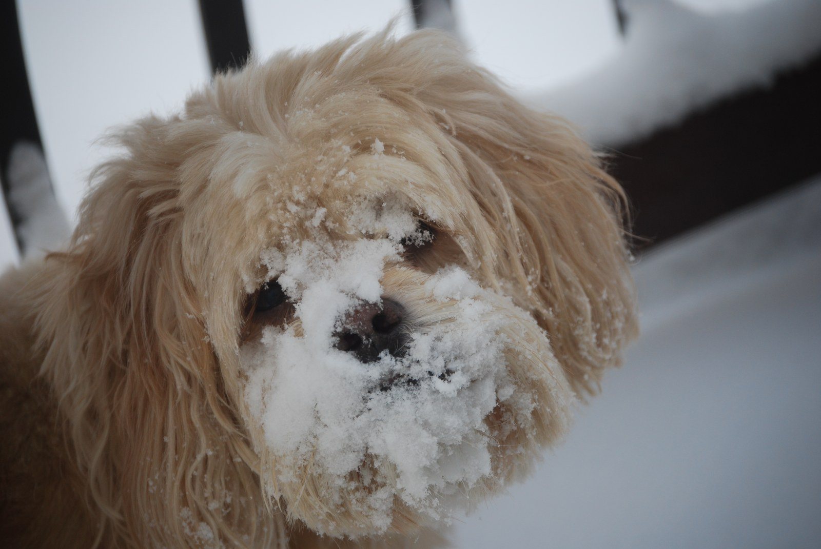 Its Cold Out There!