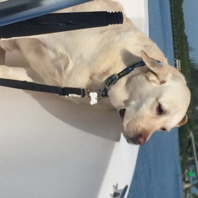 Ready To Swim!