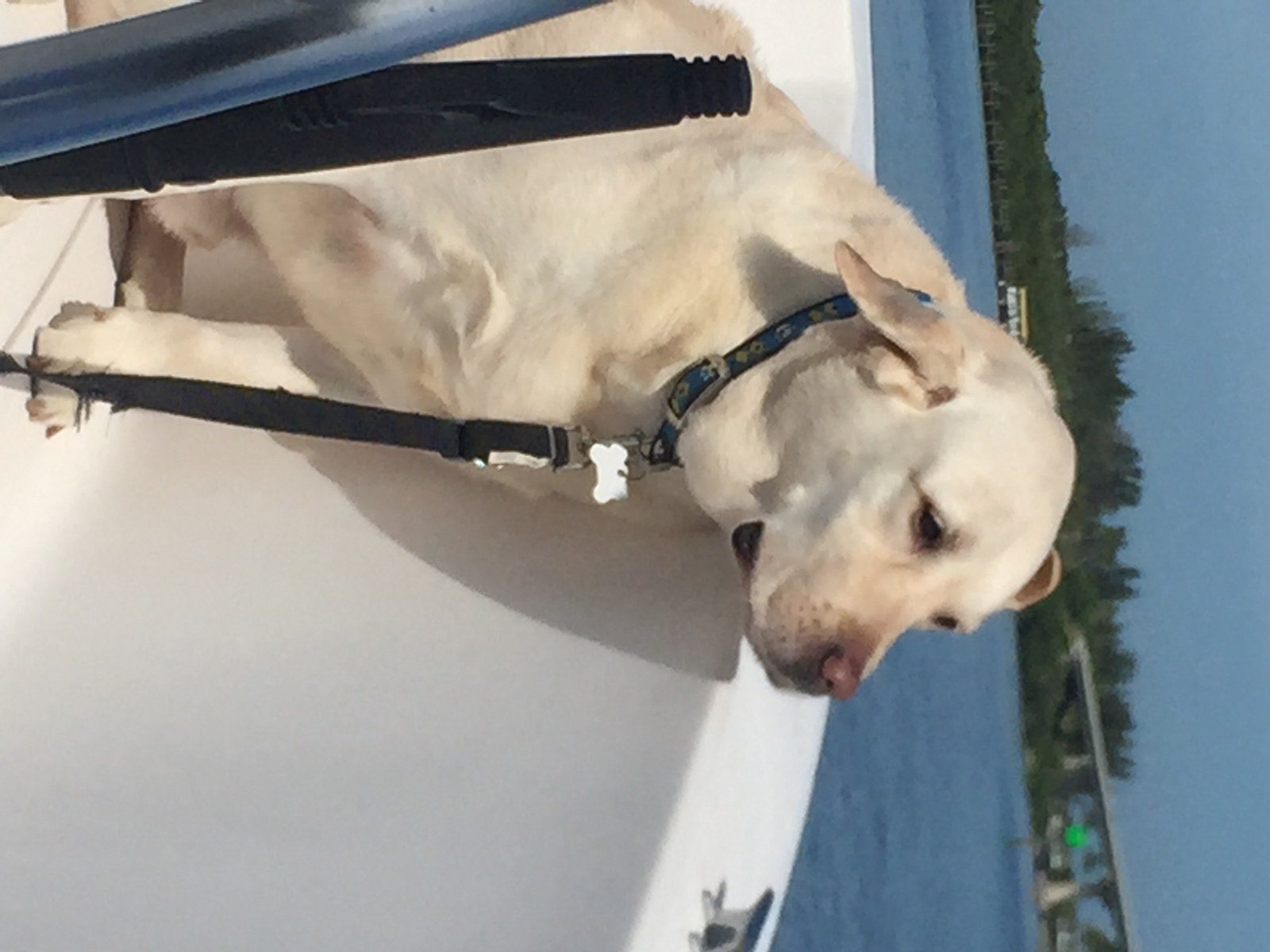 Ready To Swim!