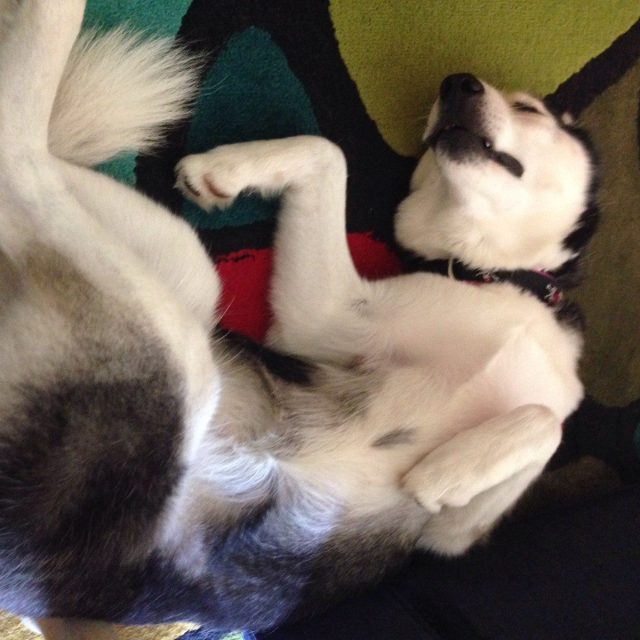 Being Lazy