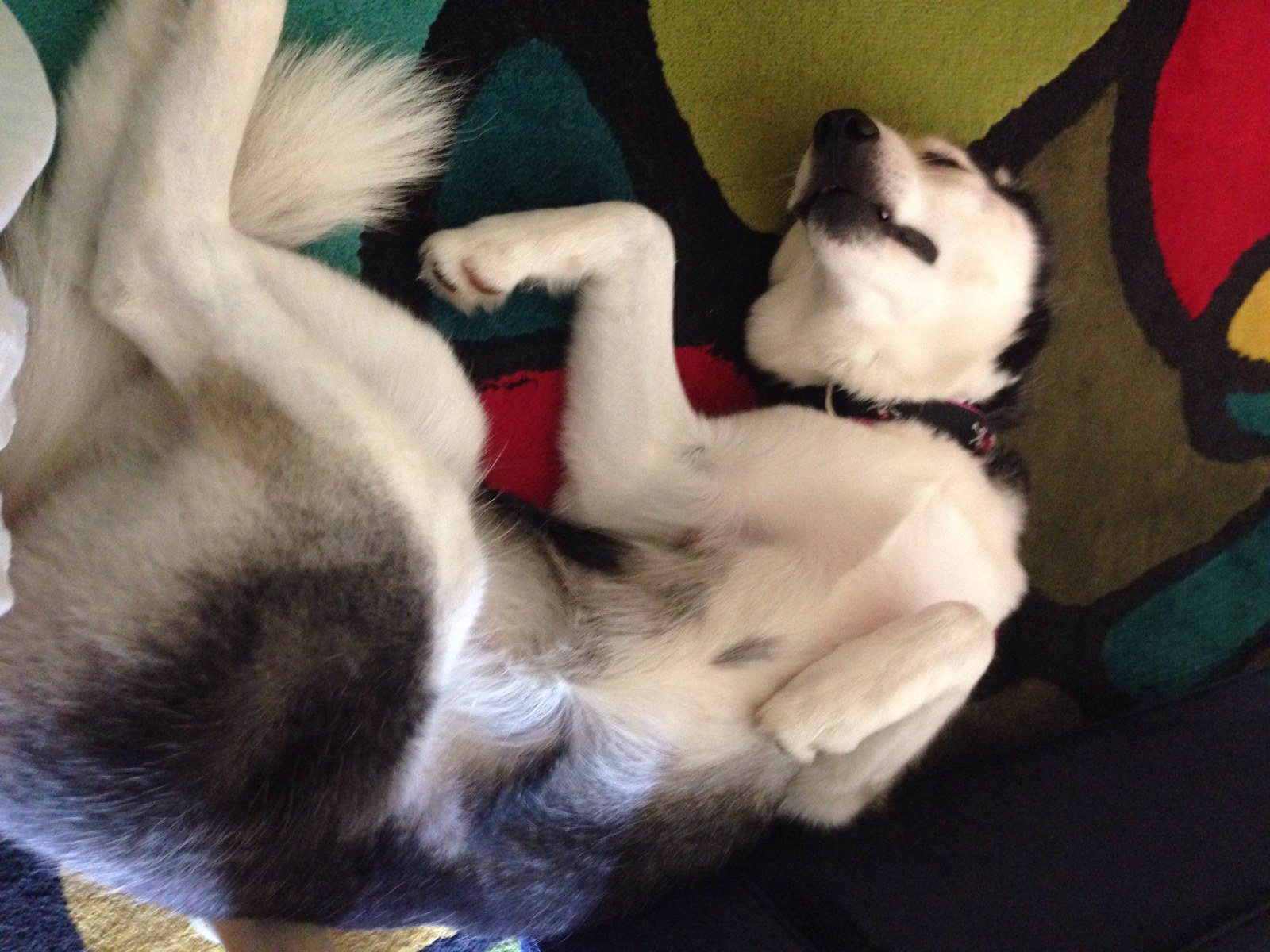 Being Lazy