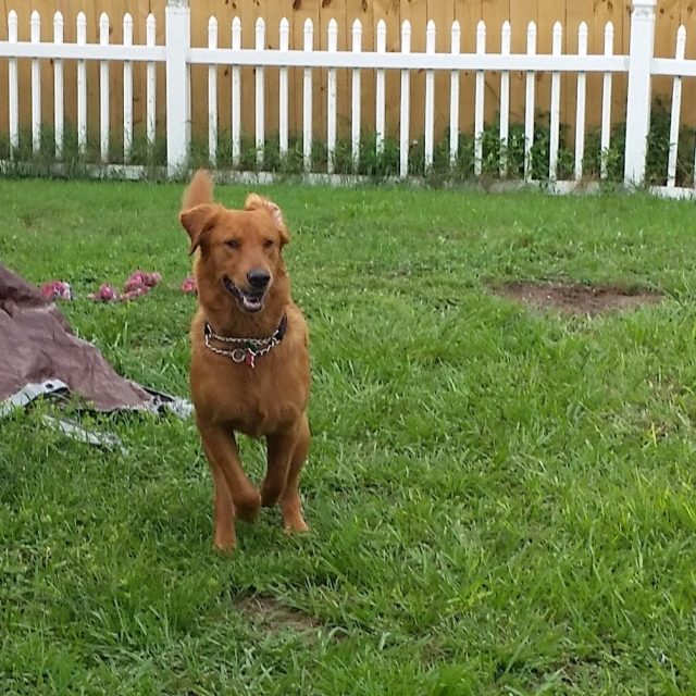 Wheee!!!
