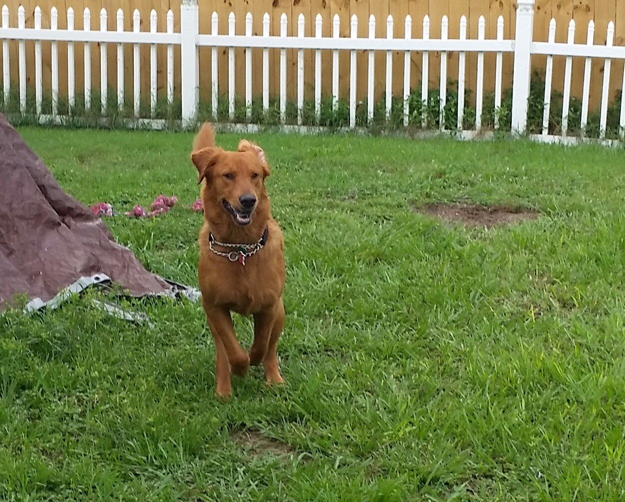Wheee!!!