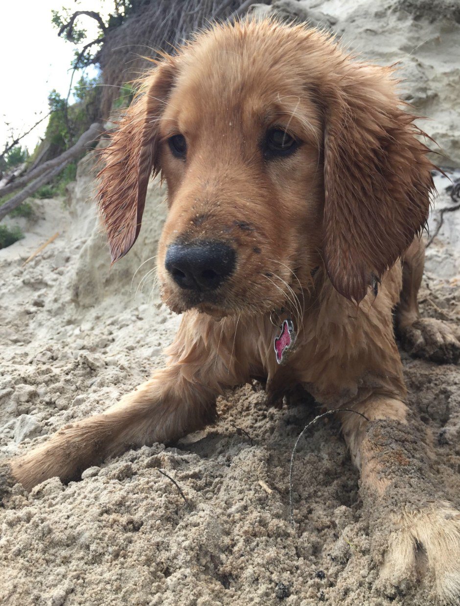 Gettin' Sandy