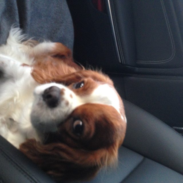 Cooper As Co-pilot