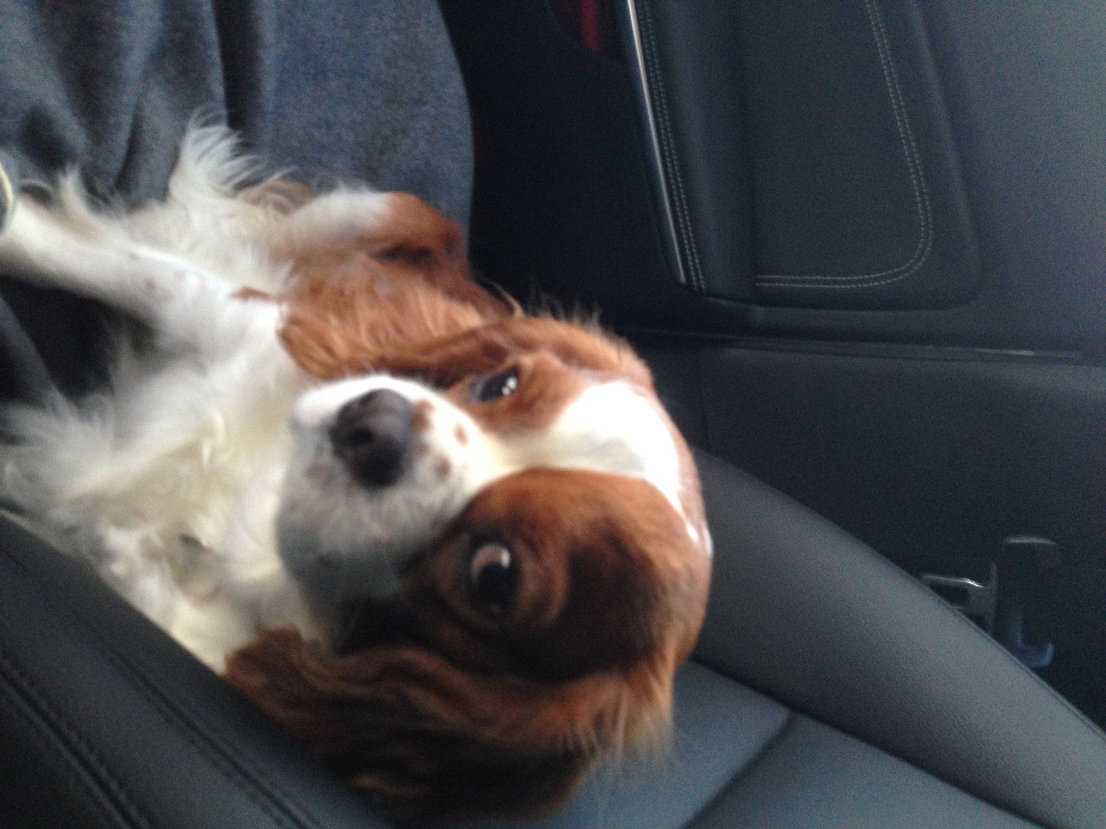 Cooper As Co-pilot