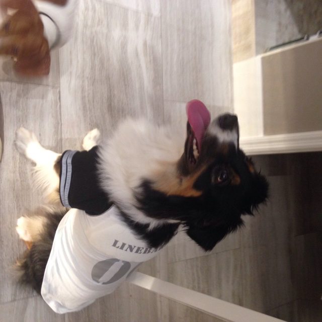 Linebarker!