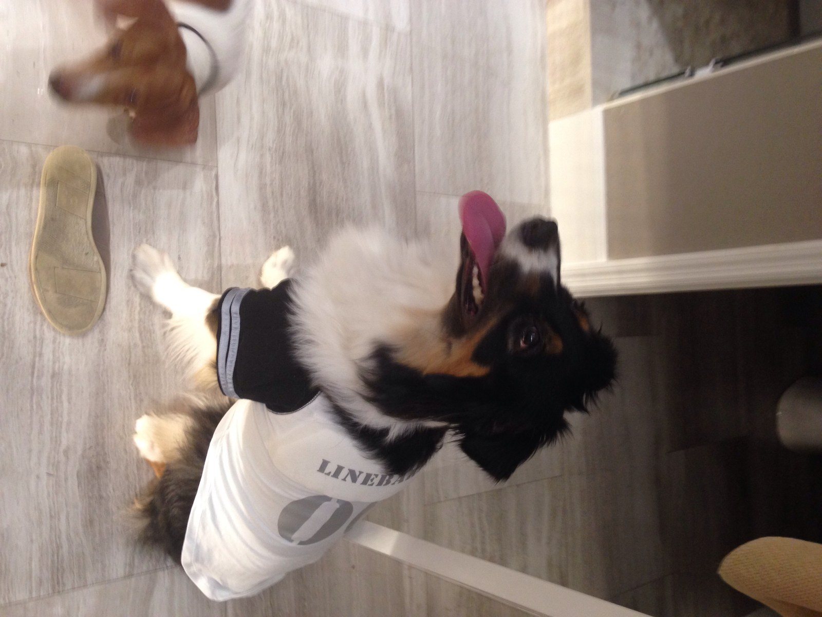 Linebarker!