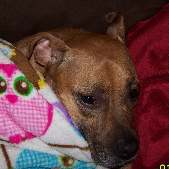 My Baby Roxy