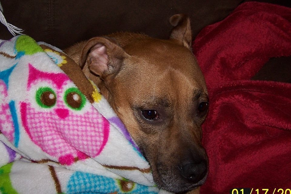 My Baby Roxy