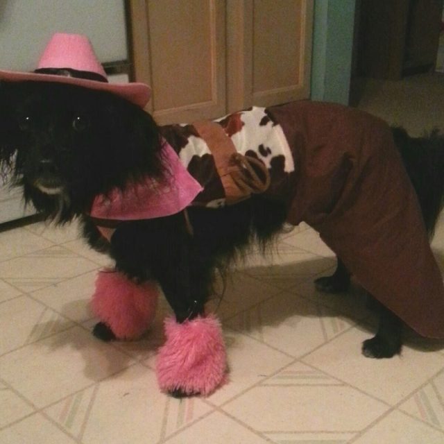 Heidi The Cowgirl