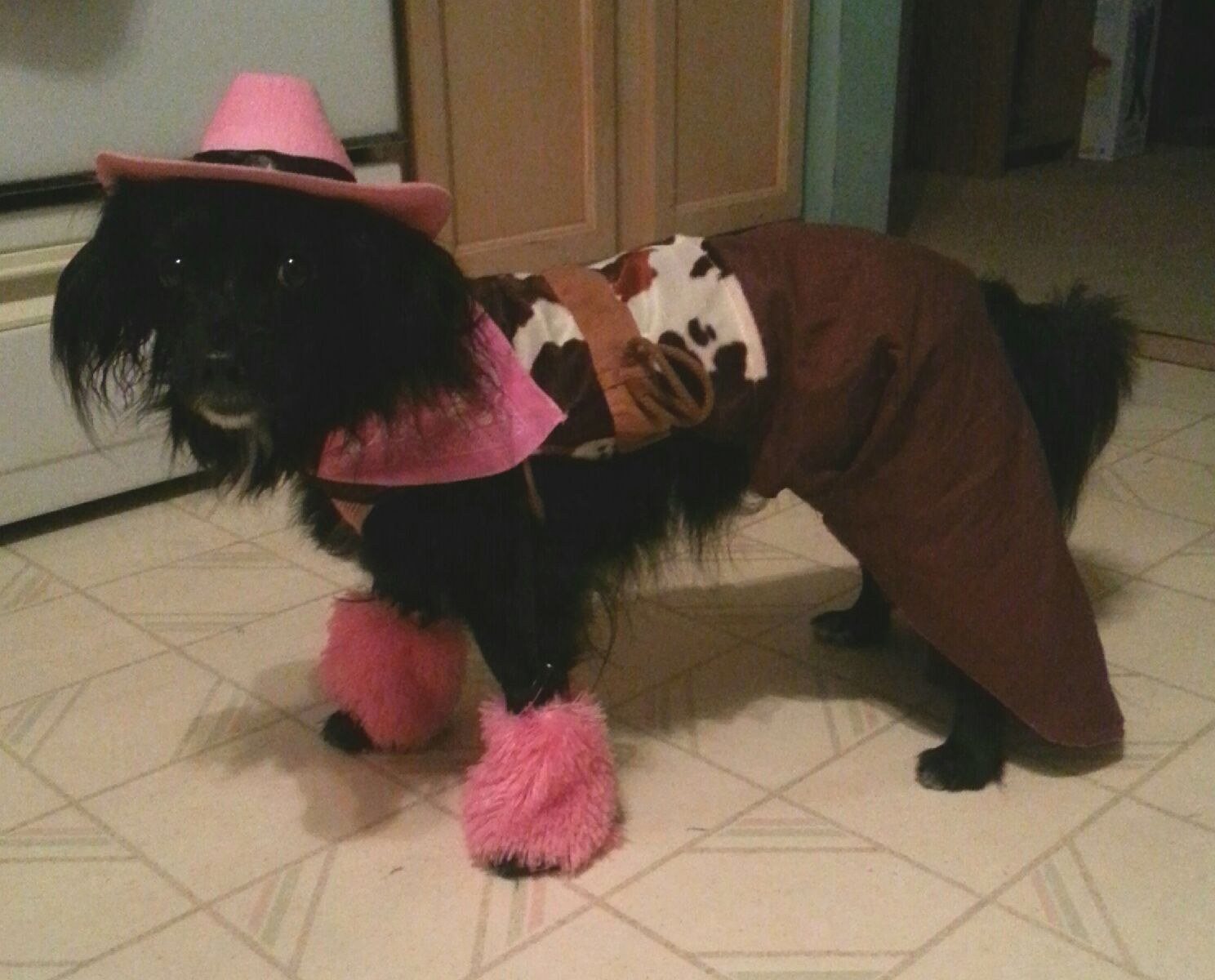 Heidi The Cowgirl