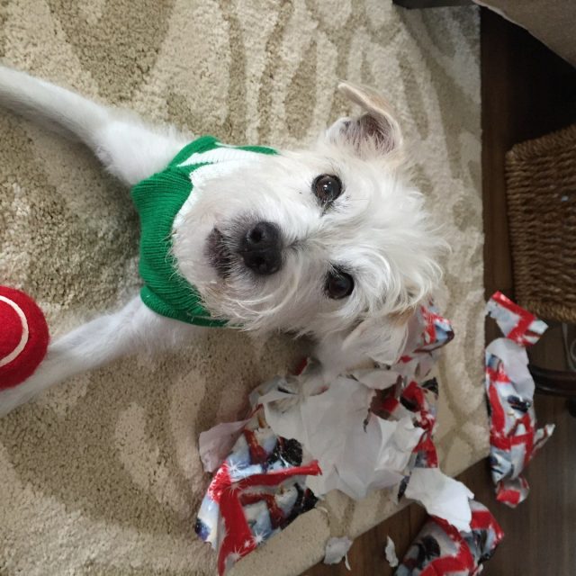 Thank You Santa!