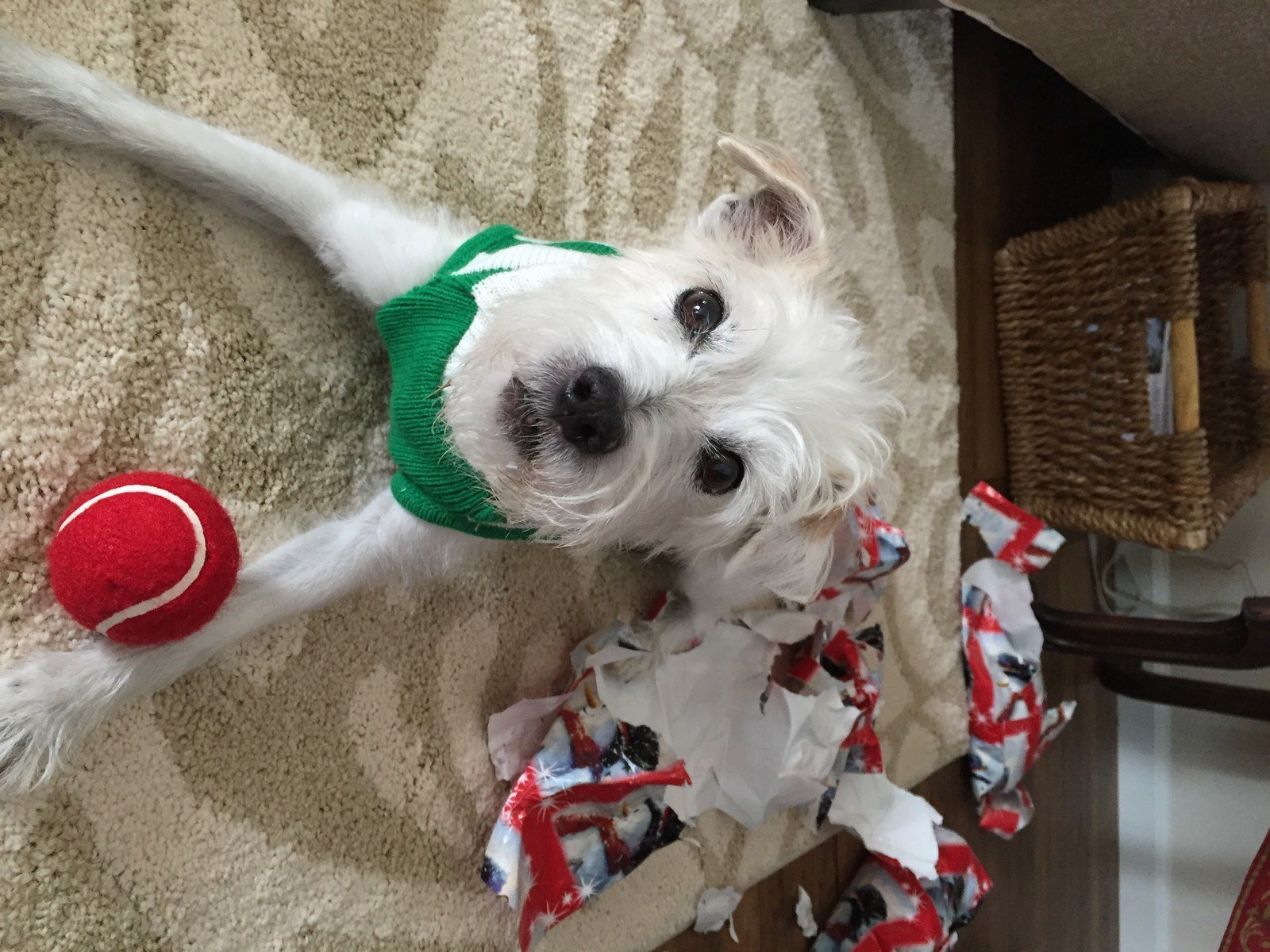 Thank You Santa!