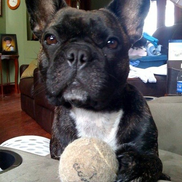 MY Ball