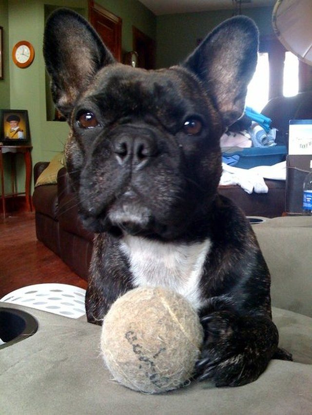 MY Ball