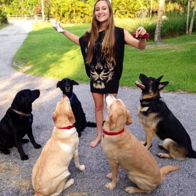 Dog Whisperer