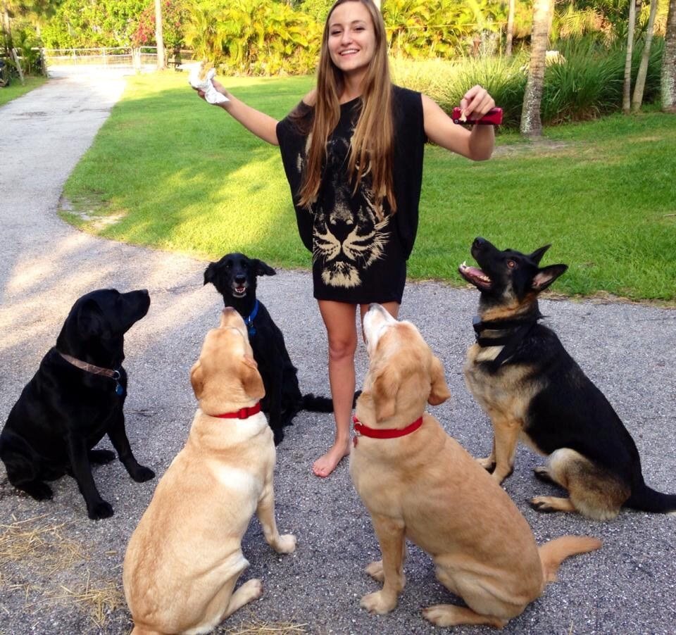 Dog Whisperer