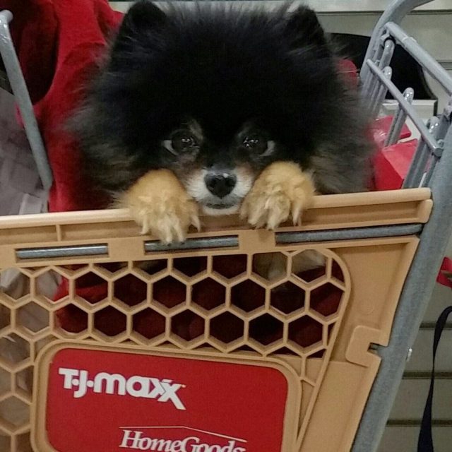 Oohh, I Love That One! I Love Shopping With My Mom!