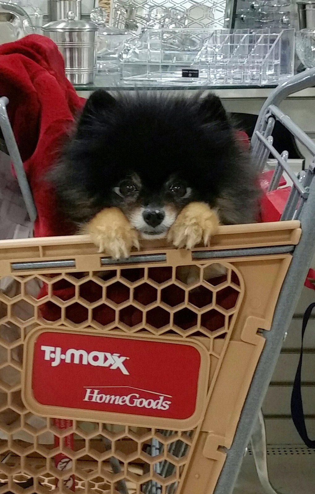 Oohh, I Love That One! I Love Shopping With My Mom!