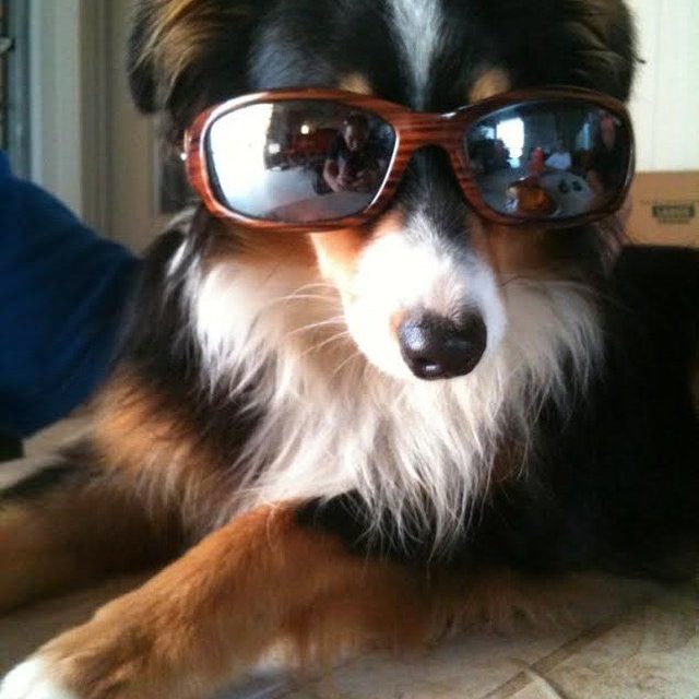 Sunny Days In Vero