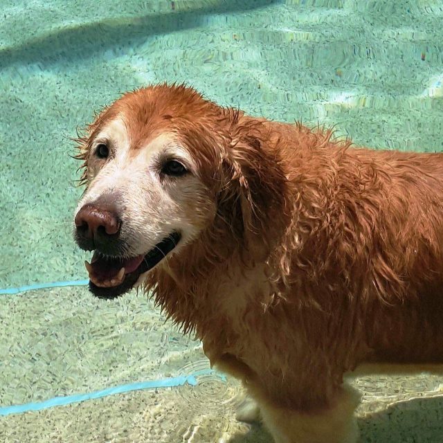 Breezy Loves Her Pool