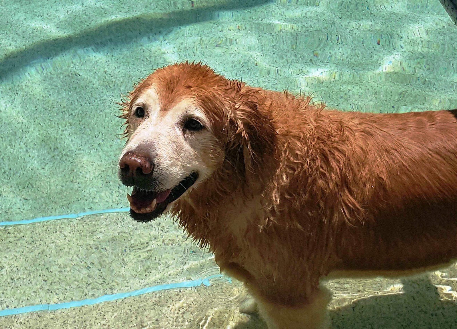 Breezy Loves Her Pool