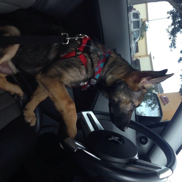 Eyes On The Road