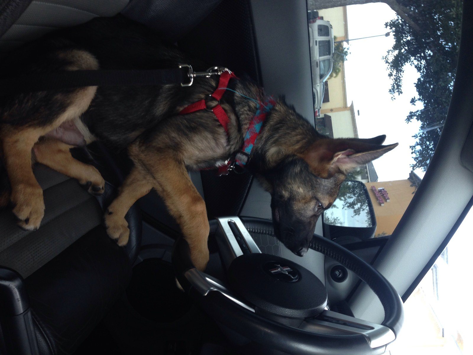 Eyes On The Road