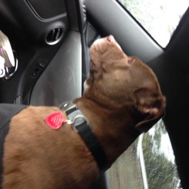 Love To Ride!