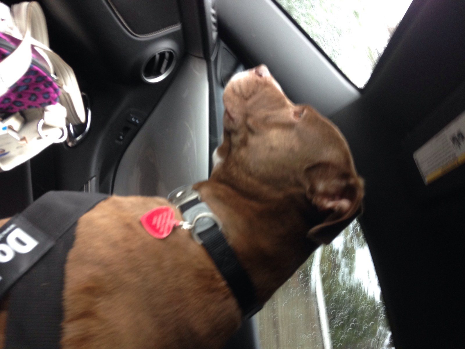 Love To Ride!