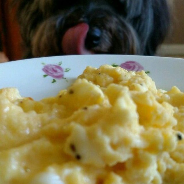 Breakfast Is Served