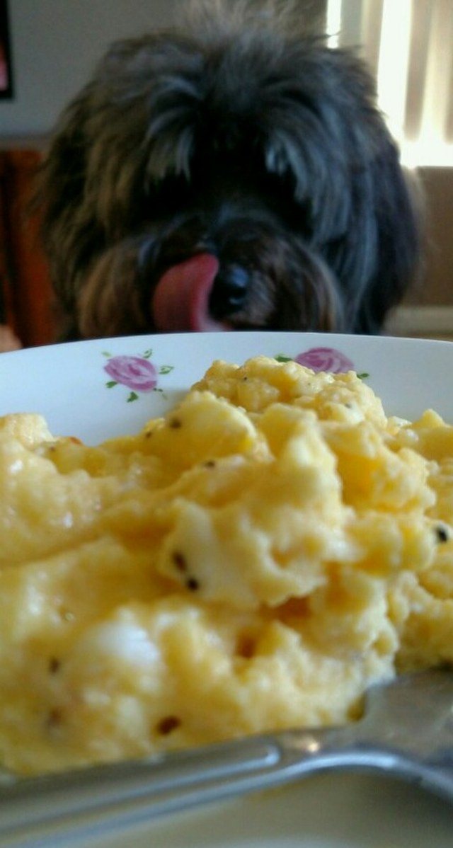 Breakfast Is Served