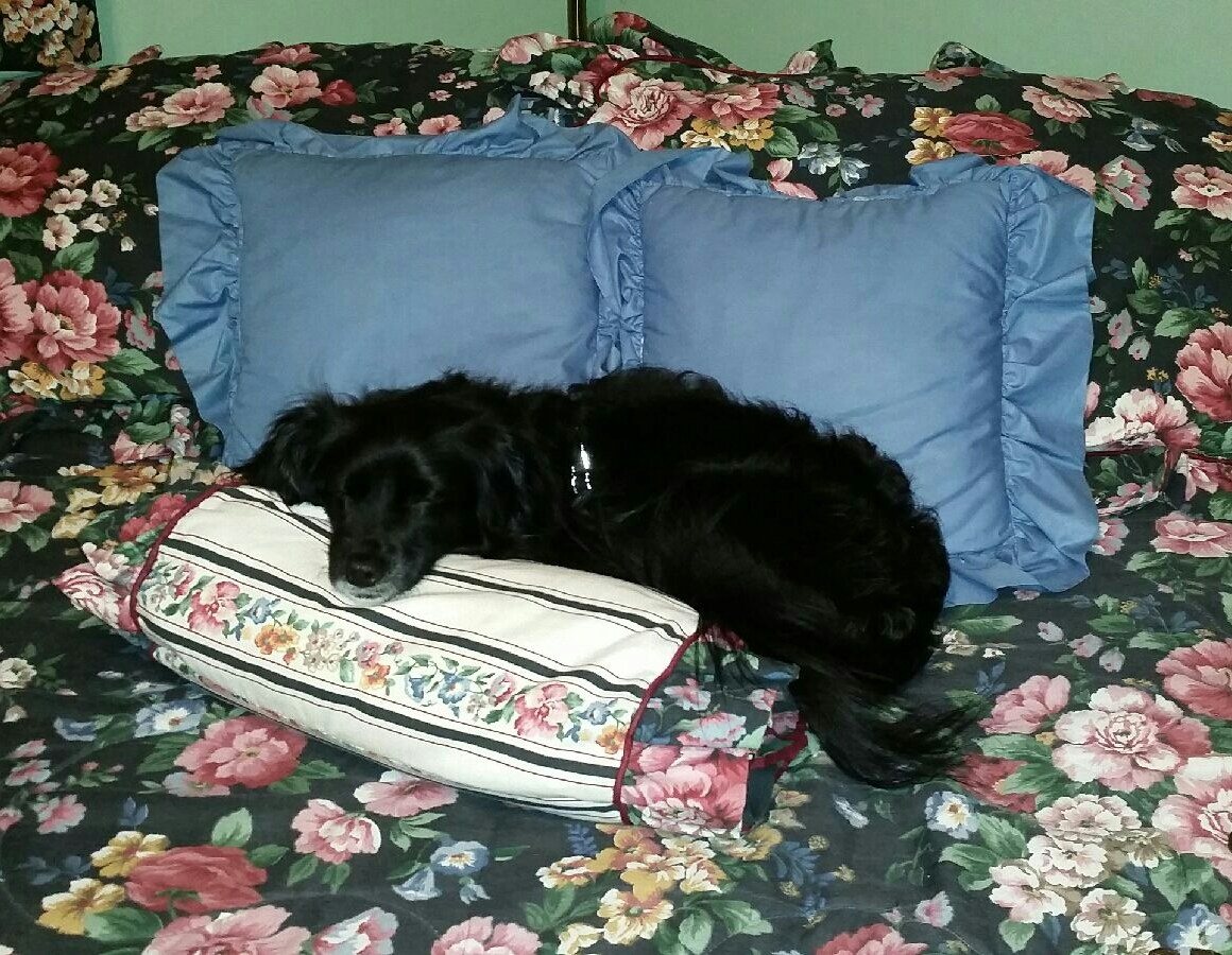 Heidi And Pillows