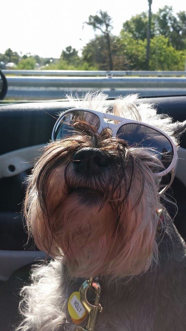 Holly In Her Shades
