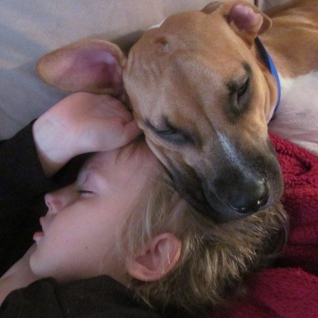 Nap Time