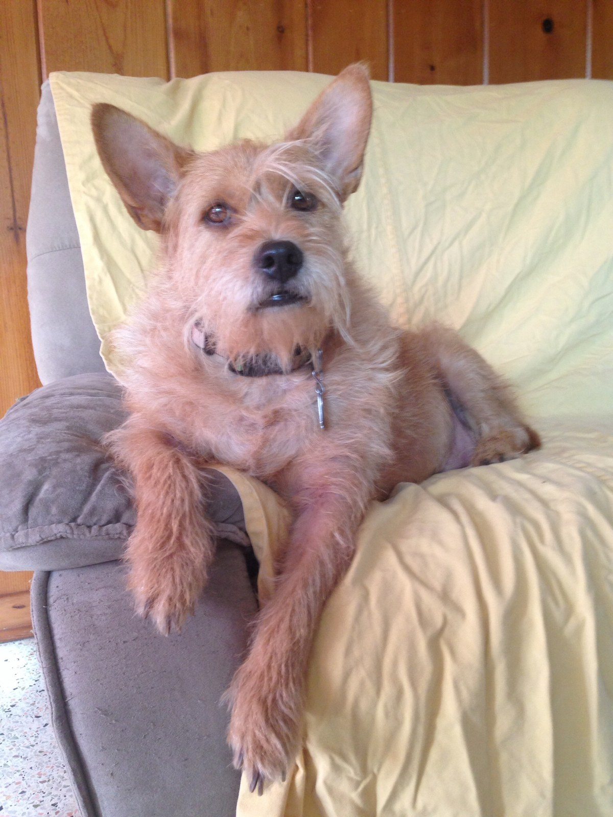 Yes I'm A Handsome Devil