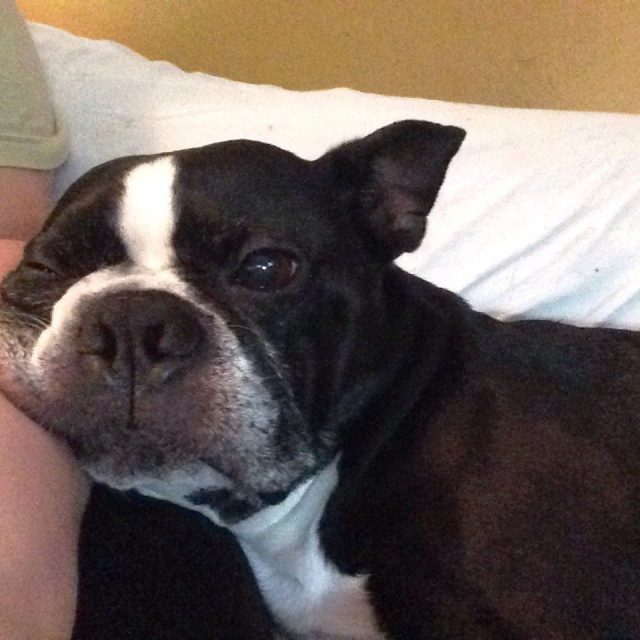 Smush Face