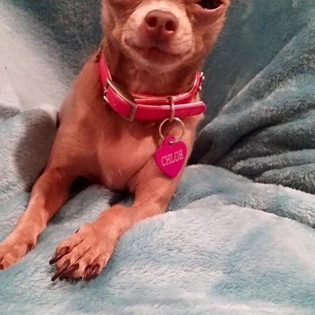 Princess Chloe