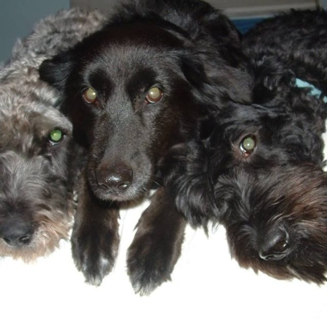 My "Gurlz"