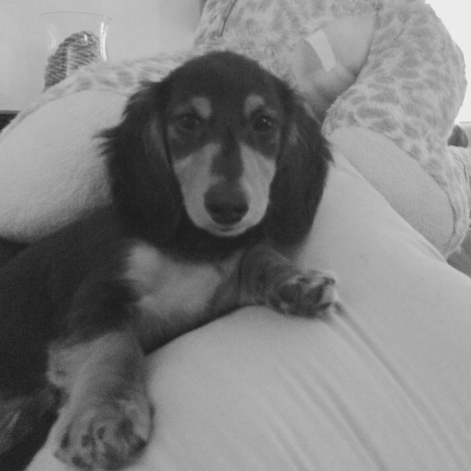 The Good Life !