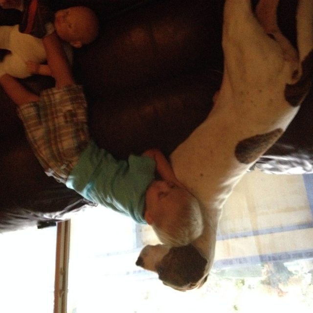 Puppy Love