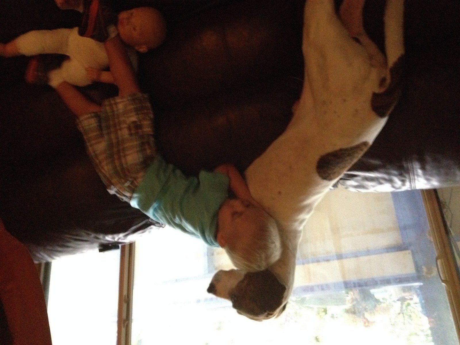 Puppy Love