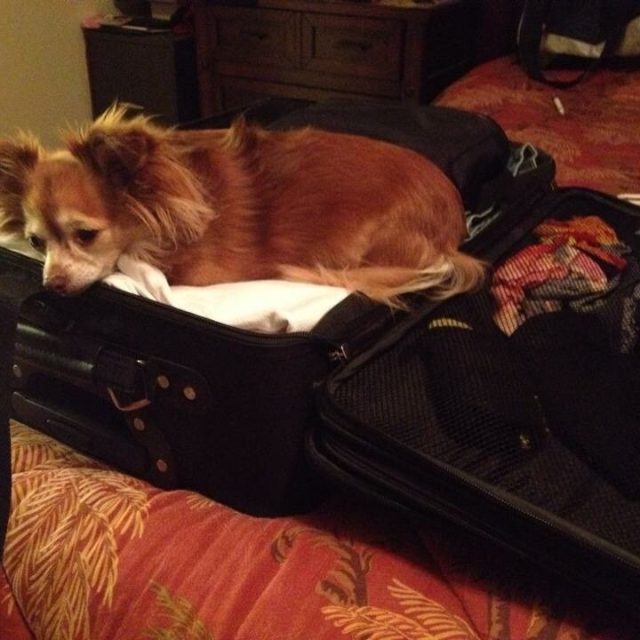 You're Not Going Without Me!