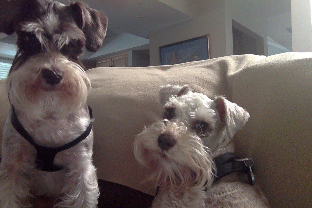 Brothers From Another Mother