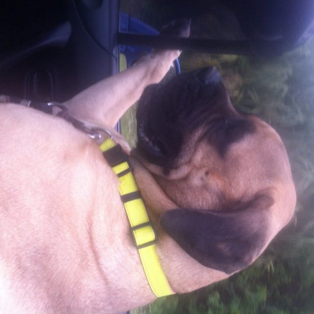 Cruisin'