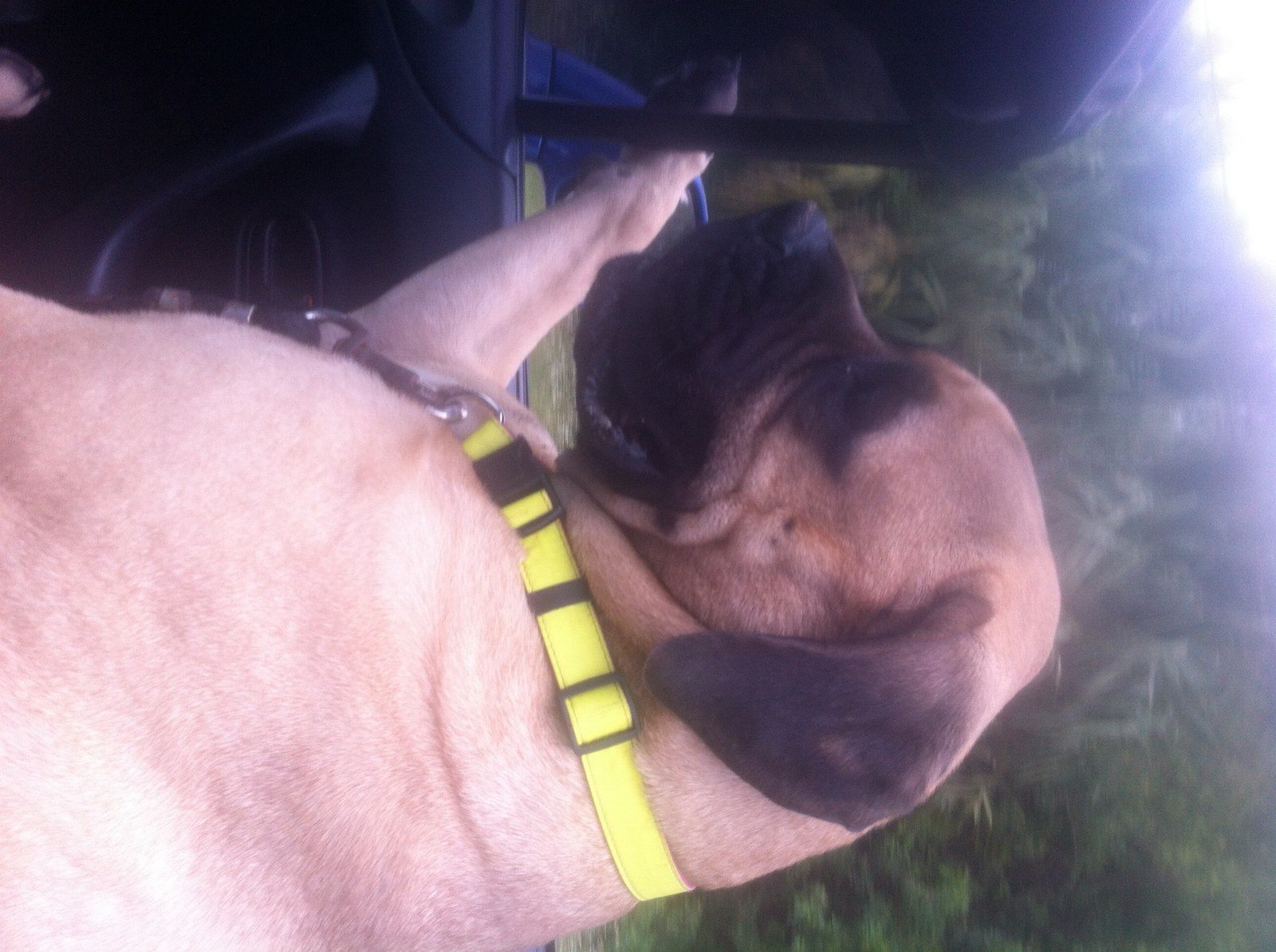 Cruisin'