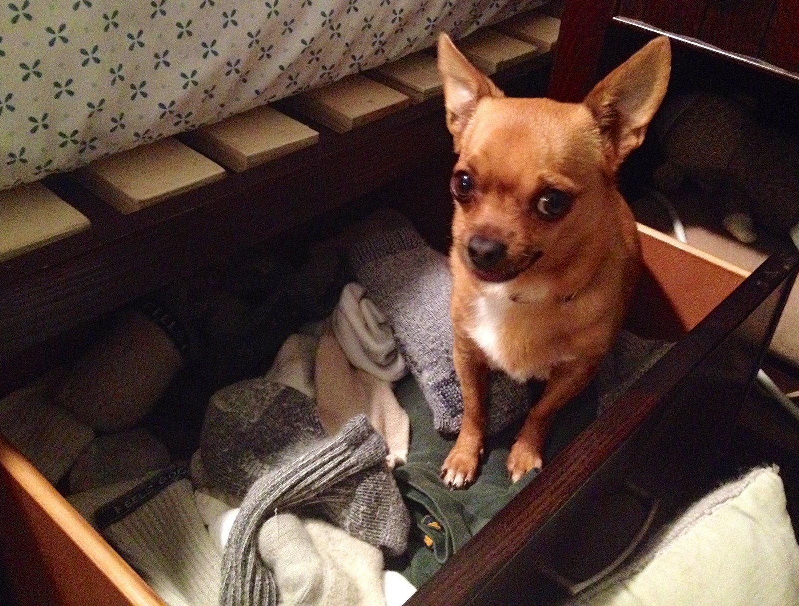 Will Daddy Be Home Soon?