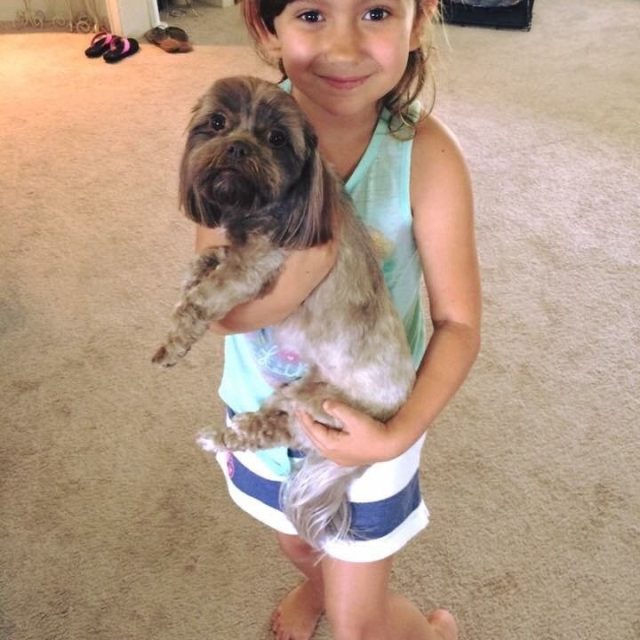 What A Cutie....not A Bad Looking Pup Either